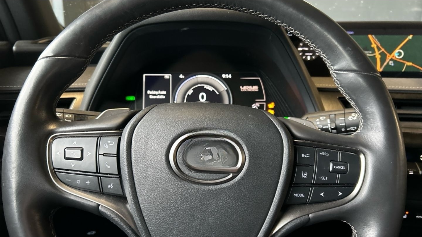 Lexus UX 300e Luxury Line 360 Grad Kamera Mark Levinso foto 7