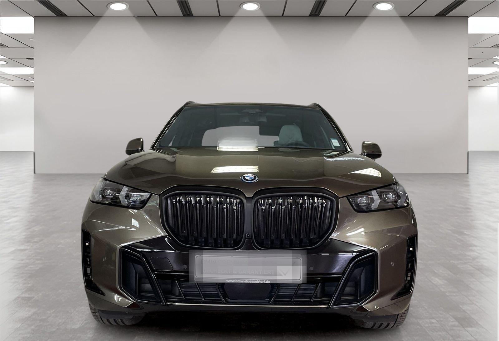 BMW X5 xDrive50e M Sport AHK Driv.Assist.Prof LED foto 8