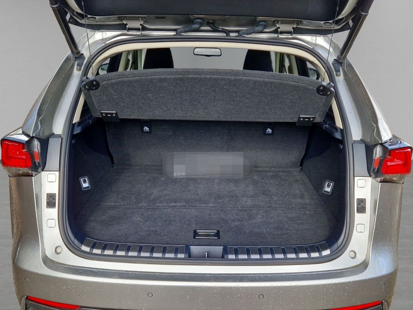 Lexus NX 300h E-Four Luxury Pano Memory Sitze 360 Kame foto 9