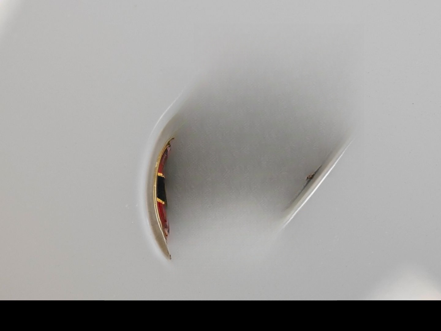 Porsche Macan GTS AHK Pano 18-Wege Carbon Chrono Bose Su foto 12