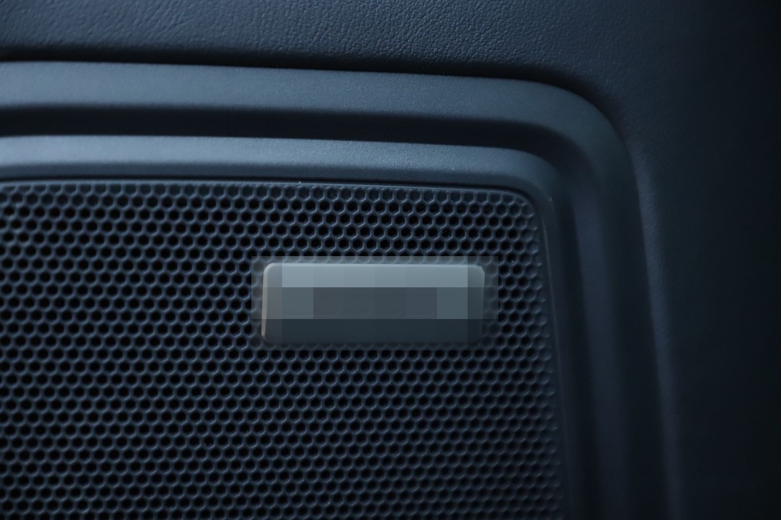 Porsche Macan GTS PANO VOLLLEDER SPORTAUSPUFF CARBON foto 21