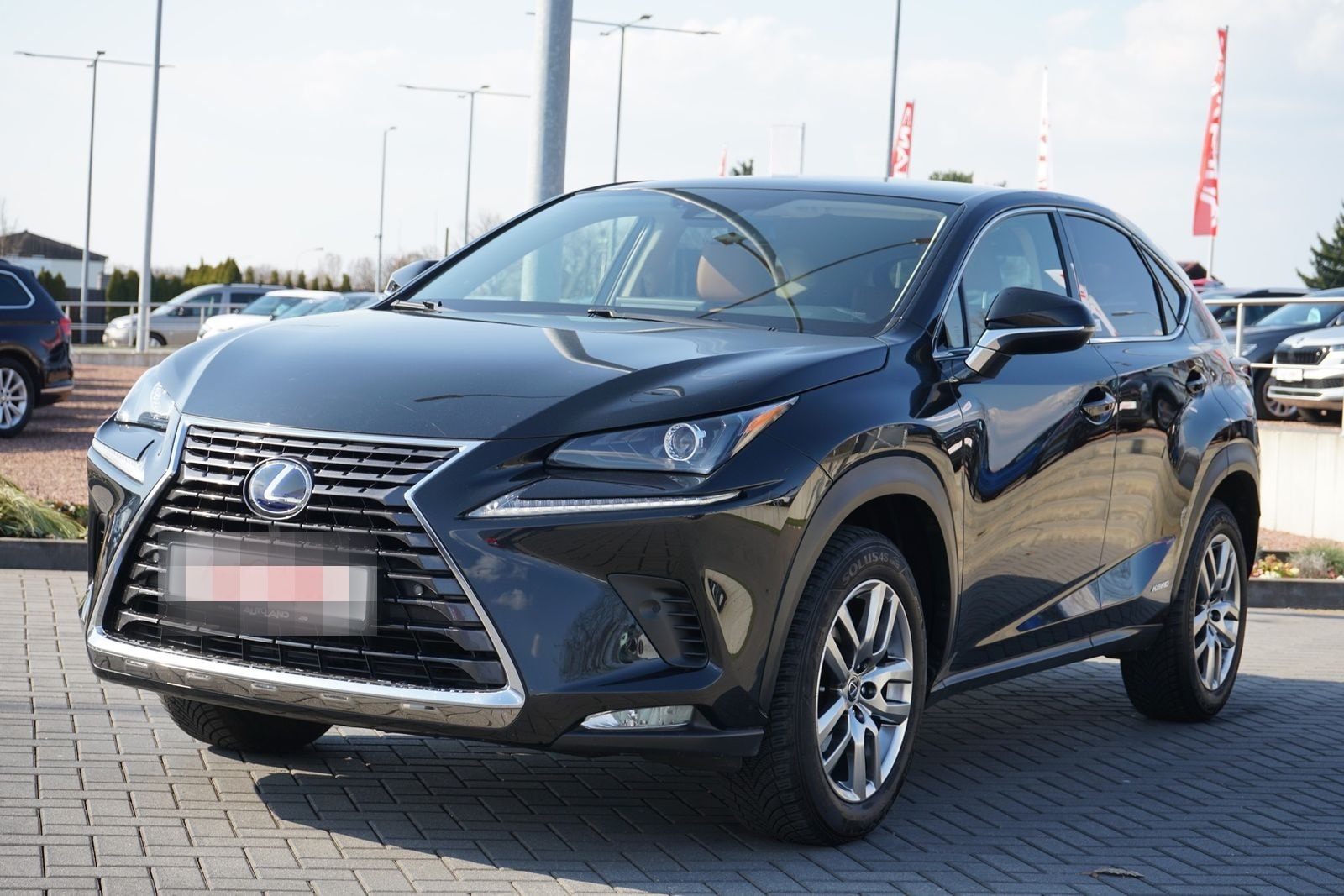 Lexus NX 300h Executive Line (E-Four) LED Navi Kamera foto 2