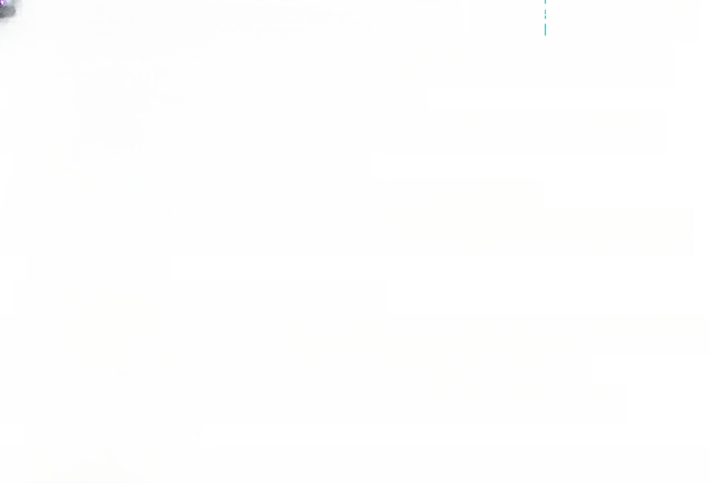 Volkswagen Passat VARIANT 1.5 TSI Business-Premium Paket Cl foto 15