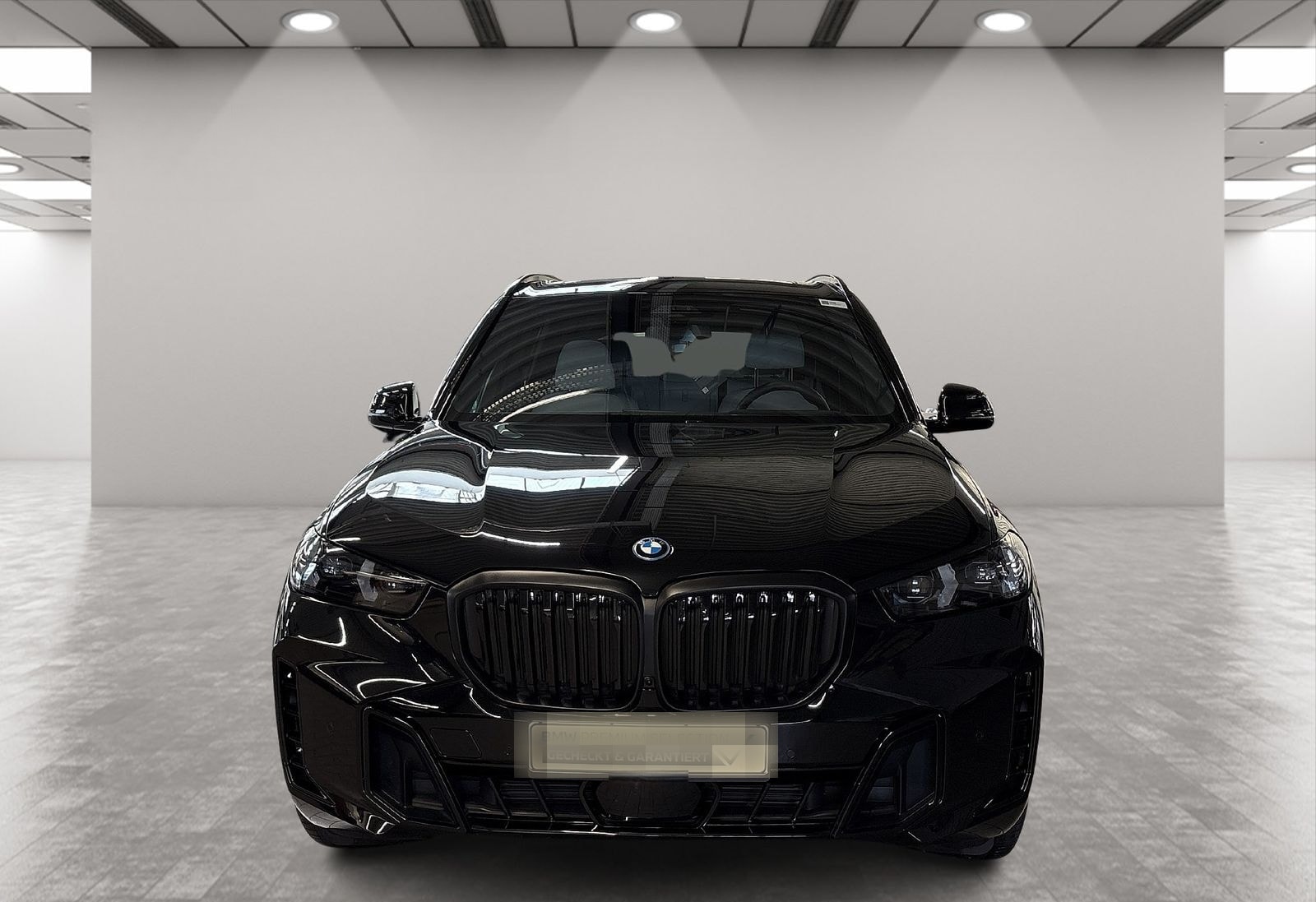 BMW X5 xDrive50e M Sport Driv.Assist.Prof Harman/K foto 9