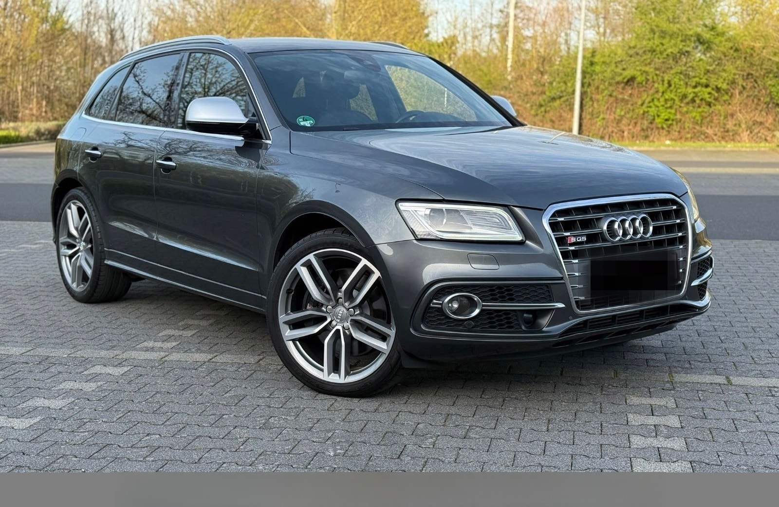 Audi SQ5 3.0 TDI competition quattro Service foto 1