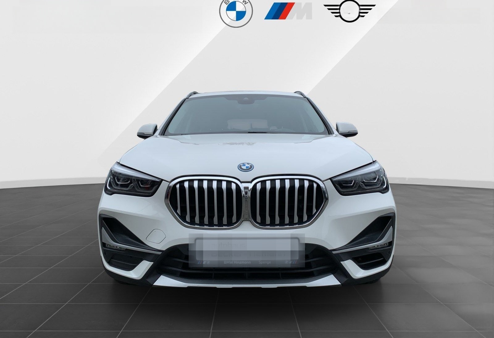 BMW X1 xDrive25e X LINE*18 ZOLL*M SPORT LENKRAD*AHK* foto 2