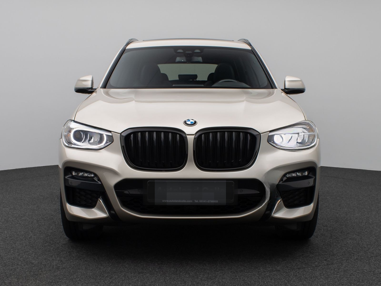 BMW X3 xD30d M Sport Panorama Kamera DAB HiFi DisKey foto 2