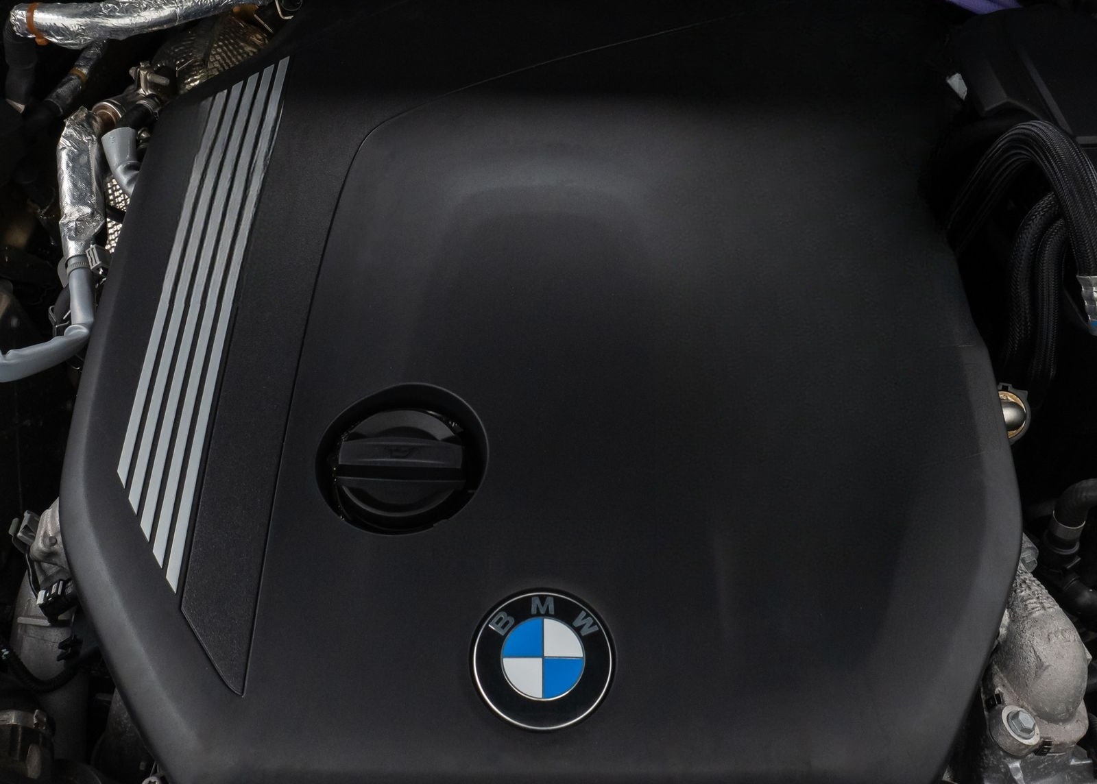 BMW X3 xD30d M Sport Panorama Kamera DAB HiFi DisKey foto 18