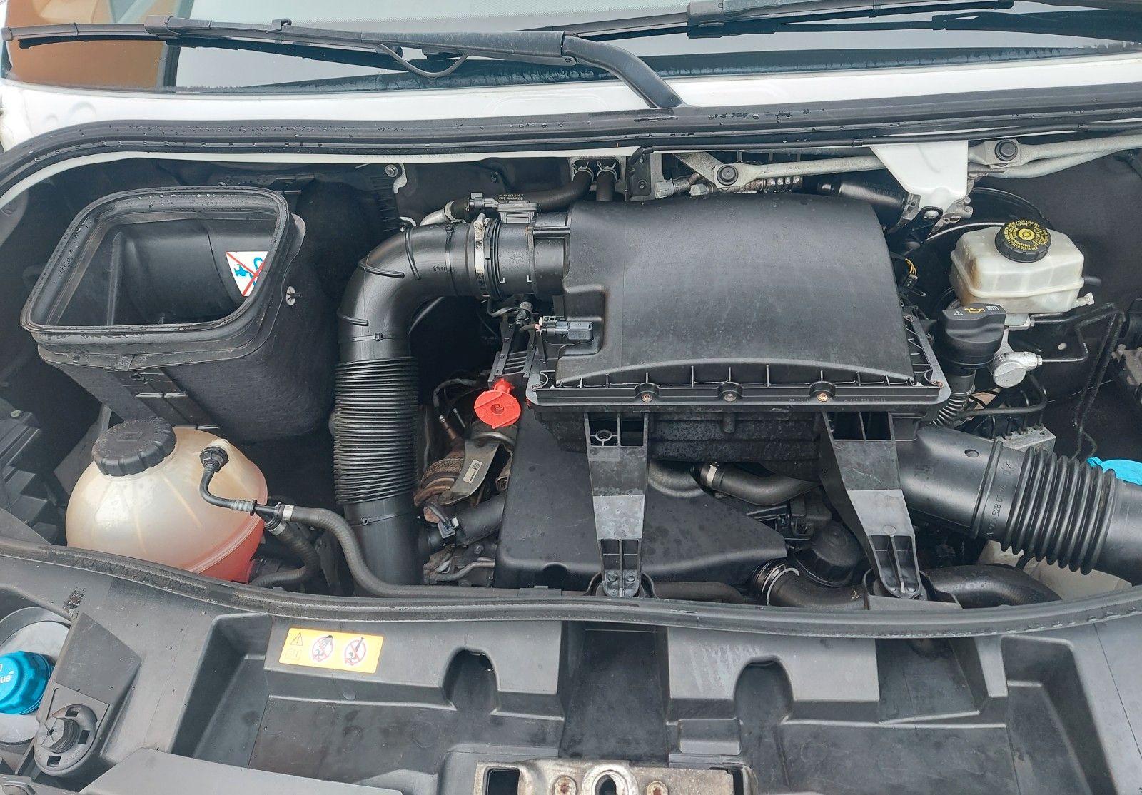 Mercedes-Benz Sprinter III Tourer RWD/AWD 316 CDI RWD foto 21