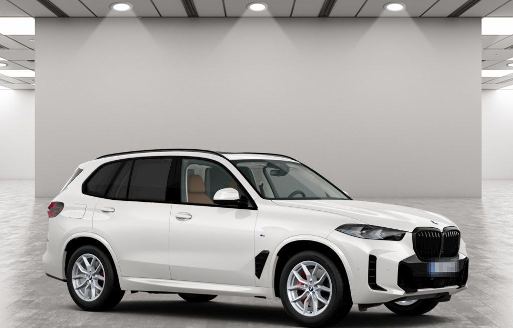 BMW X5 xDrive40d M Sport Standheizung Massage AHK foto 12