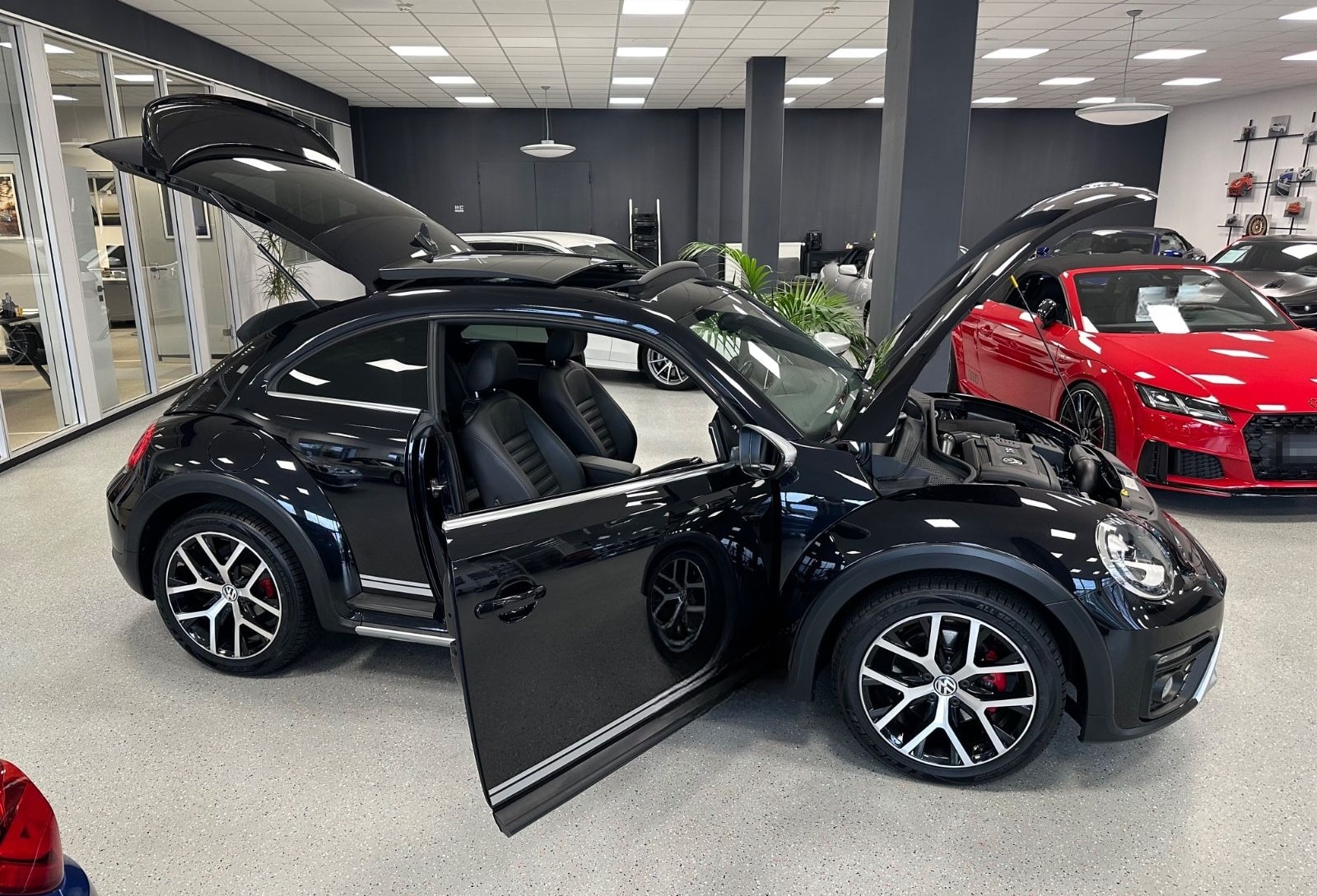 Volkswagen Beetle 2.0 Dune|Fender|Pano|Bi-Xenon|Service neu foto 3