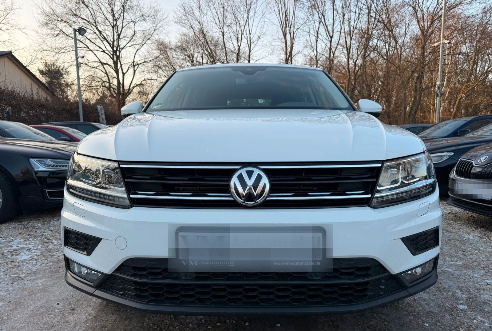 Volkswagen Tiguan Comfortline 4Motion Kam*SitzHz.*ACC foto 2