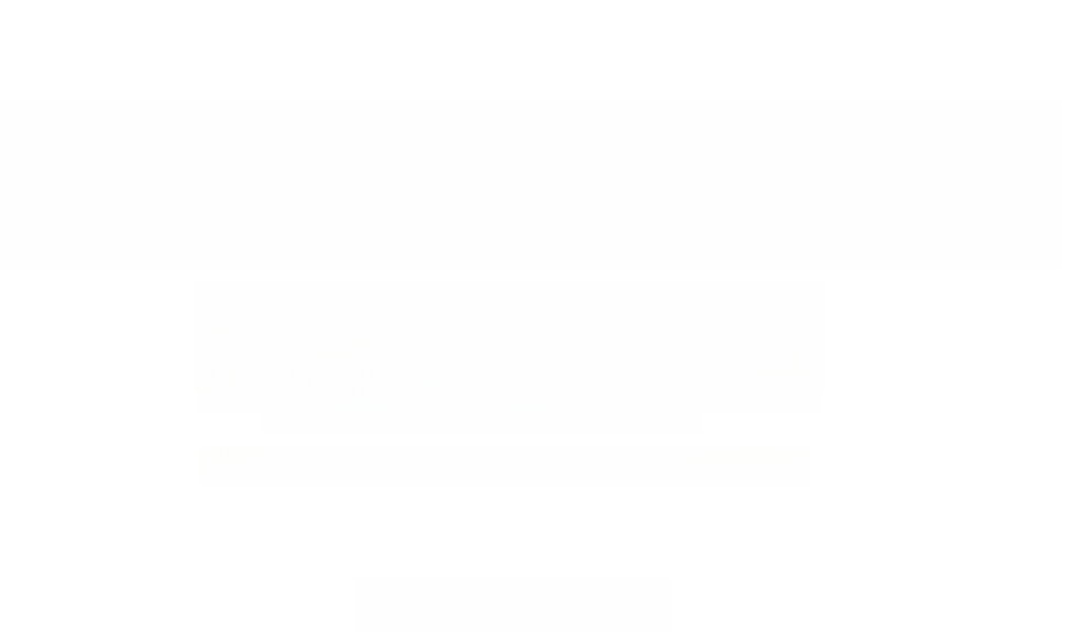 Tesla Model 3 Performance Dual AWD foto 1