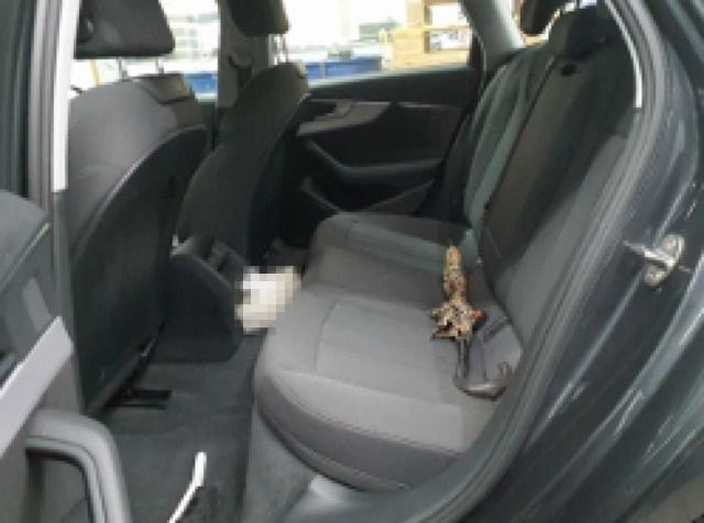 Audi A4 Avant 40 TFSI Sport S tro*HUD*Matrix*Virtual* foto 4