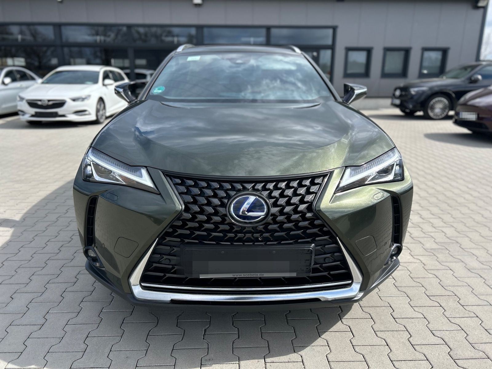 Lexus UX 300e - ACC-Belü.Sitze-Memory-Leder-Kamera-17Z foto 9