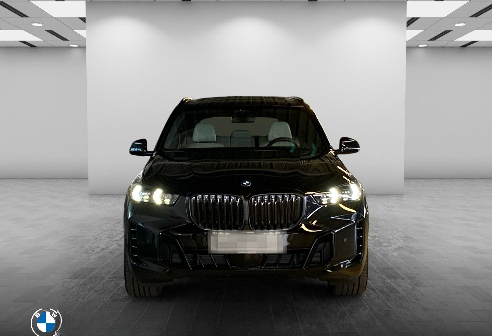 BMW X5 xDrive50e M Sport AHK Harman/K Kamera LED foto 6