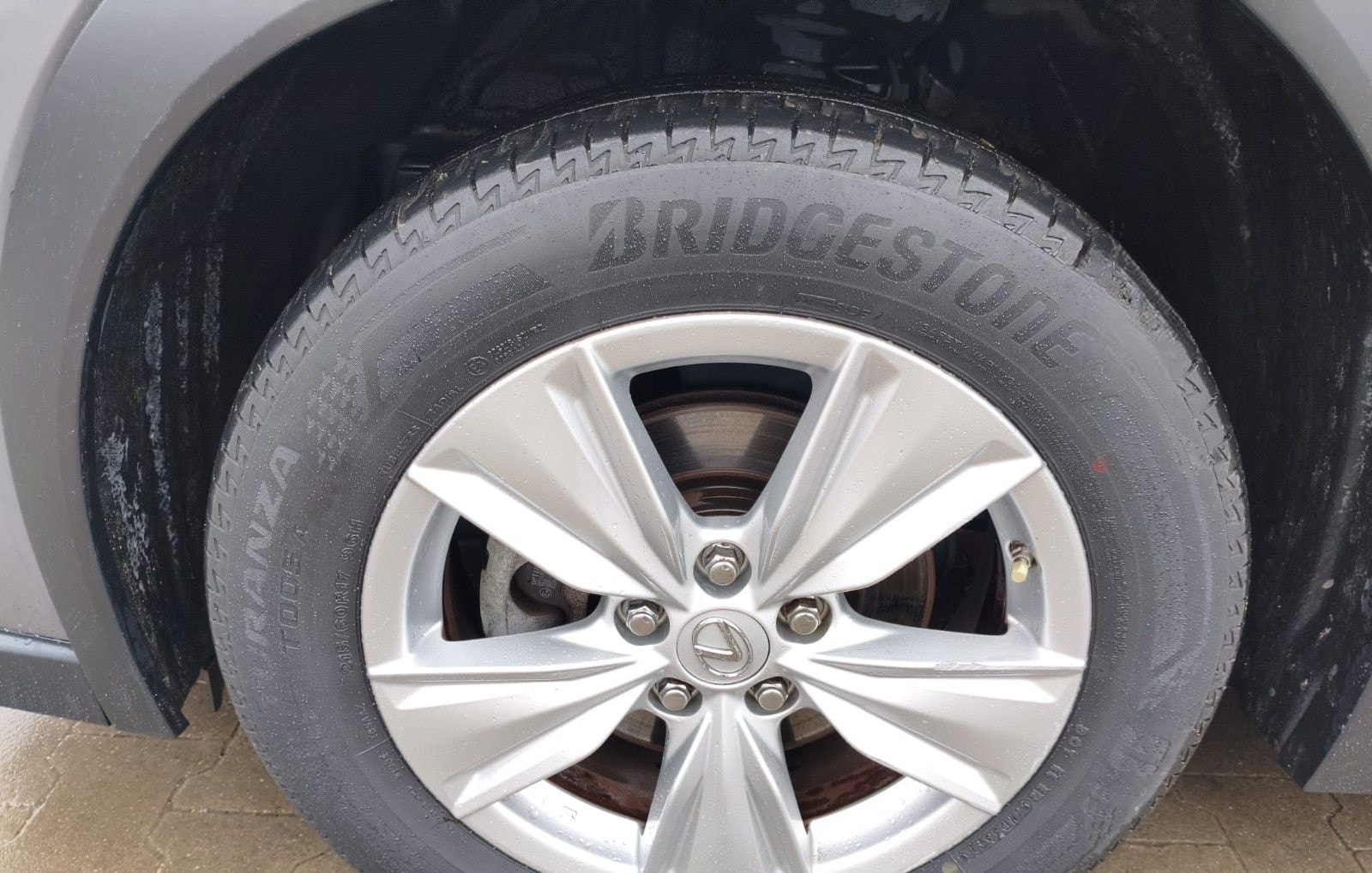 Lexus UX 250 h foto 9