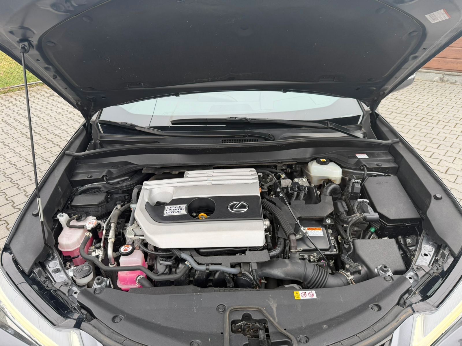 Lexus UX 250 h foto 10