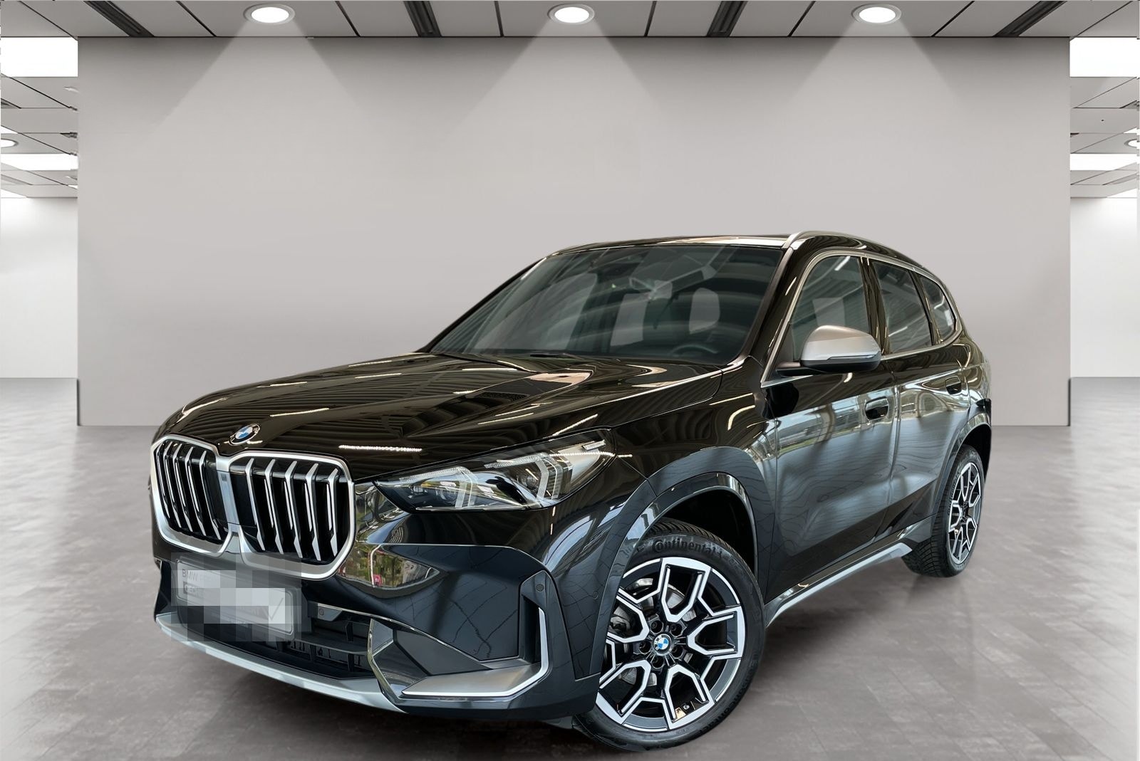 BMW X1 sDrive18i Kamera Pano.Dach Driv.Assist LED foto 1
