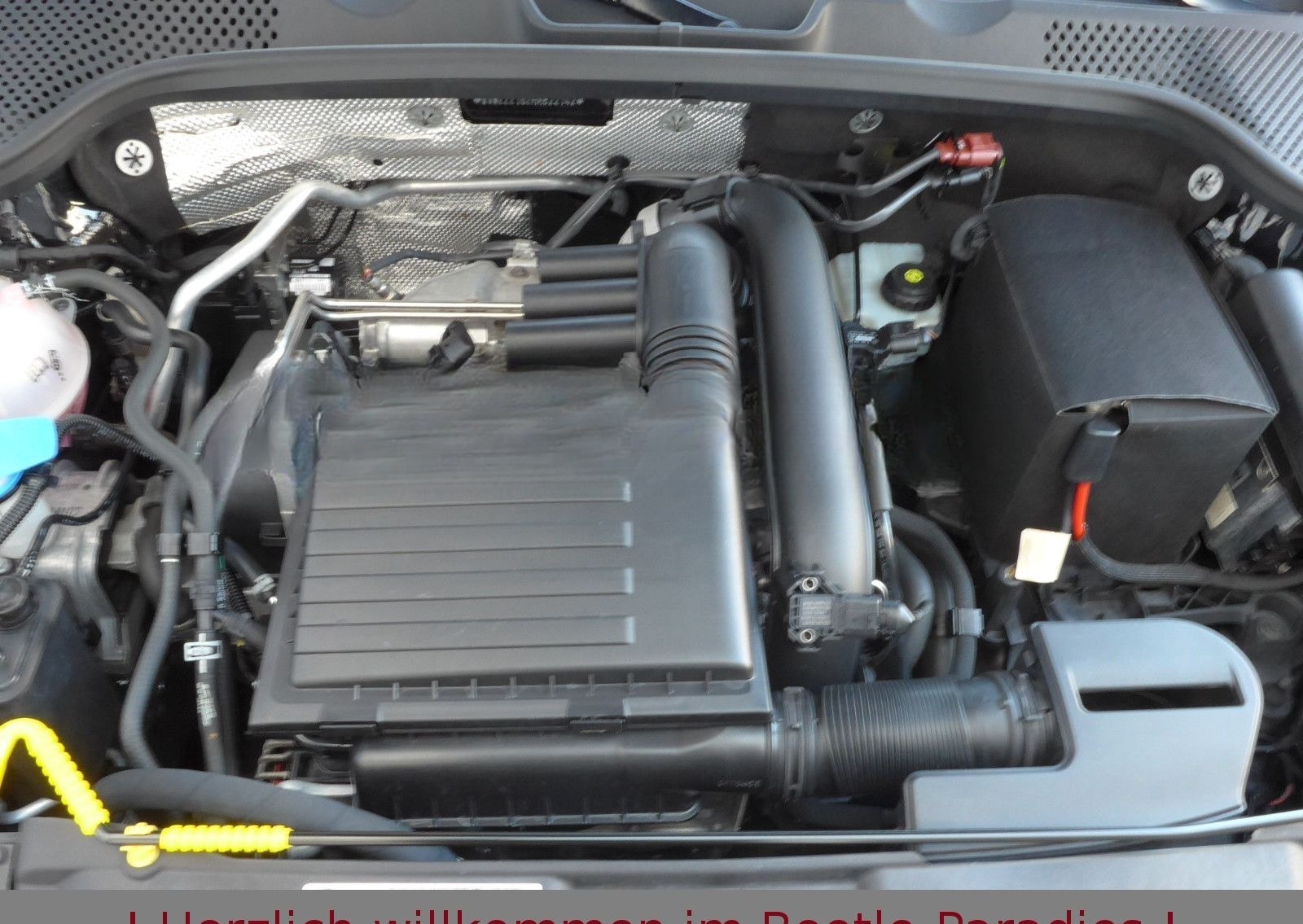 Volkswagen Beetle 1.2TSI Sound Plus Fender Xenon AppCon. SH foto 20