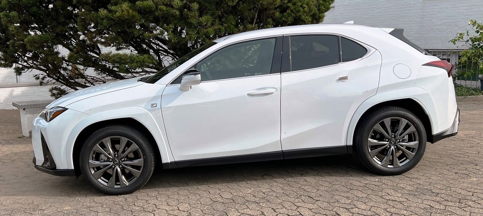 Lexus UX 250H F Sport Leder Kamera SHZ foto 3