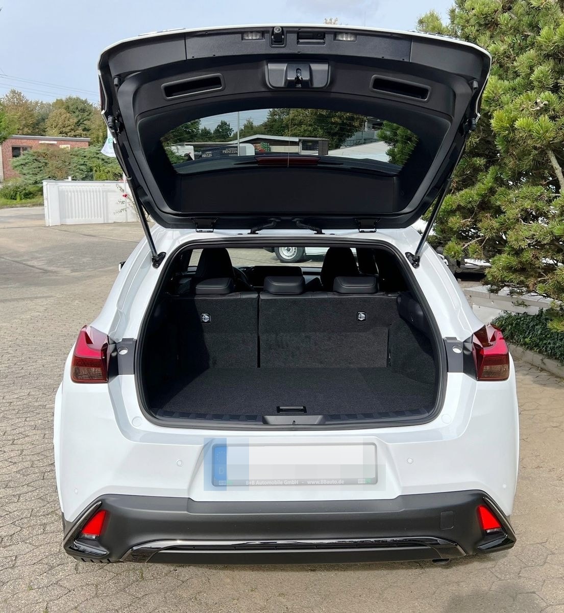 Lexus UX 250H F Sport Leder Kamera SHZ foto 6