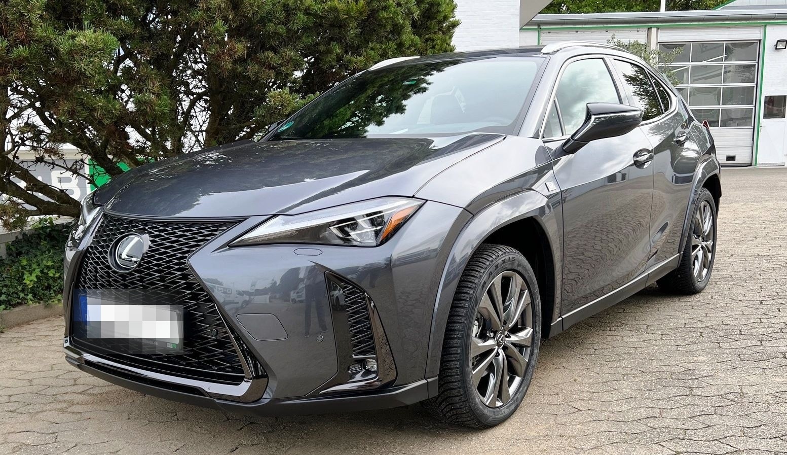 Lexus UX 250H F Sport Leder Kamera SHZ foto 2