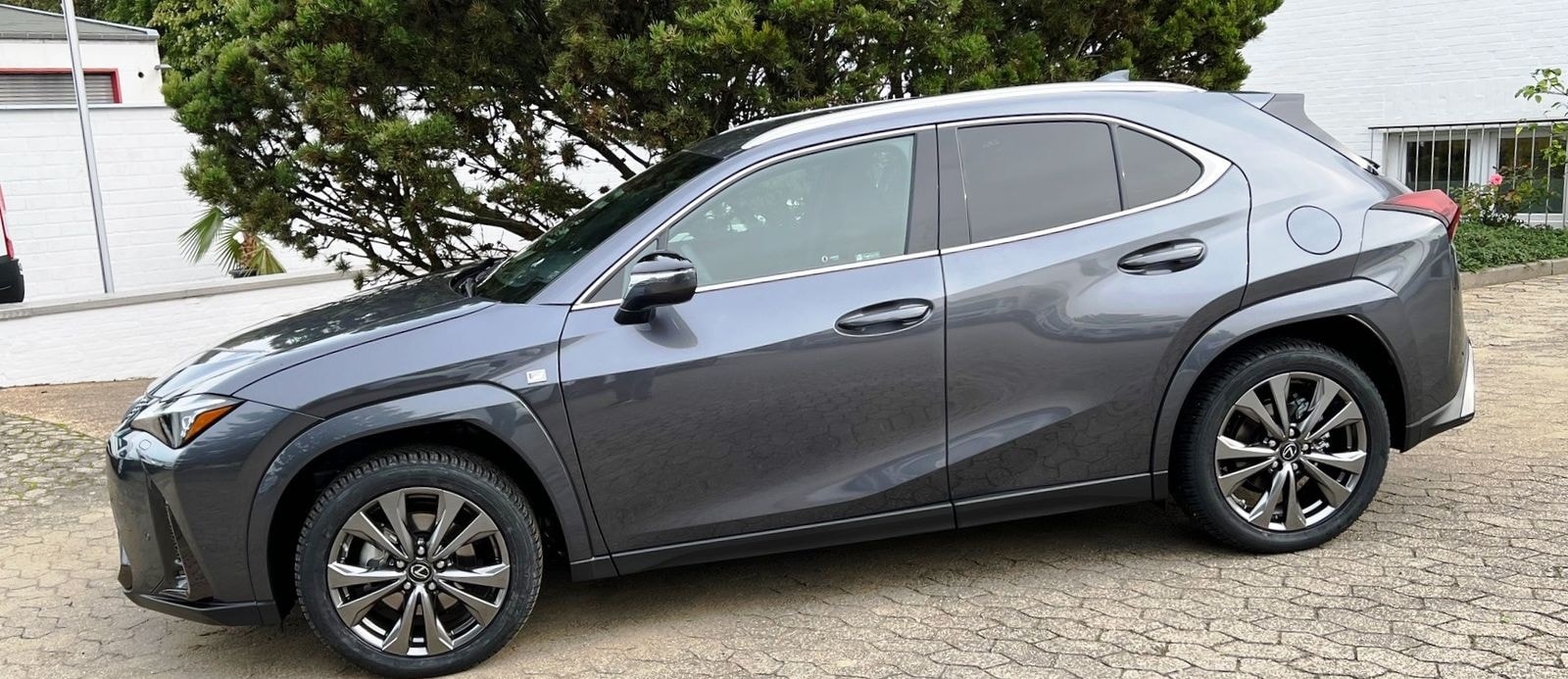 Lexus UX 250H F Sport Leder Kamera SHZ foto 3