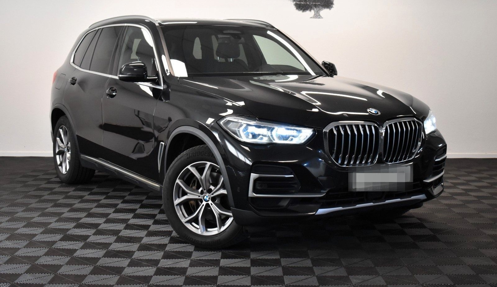 BMW X5 xDrive 30 d xLine *LASER *AHK *HUD *VIRTUAL foto 1