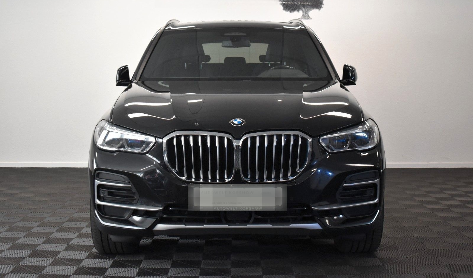 BMW X5 xDrive 30 d xLine *LASER *AHK *HUD *VIRTUAL foto 2
