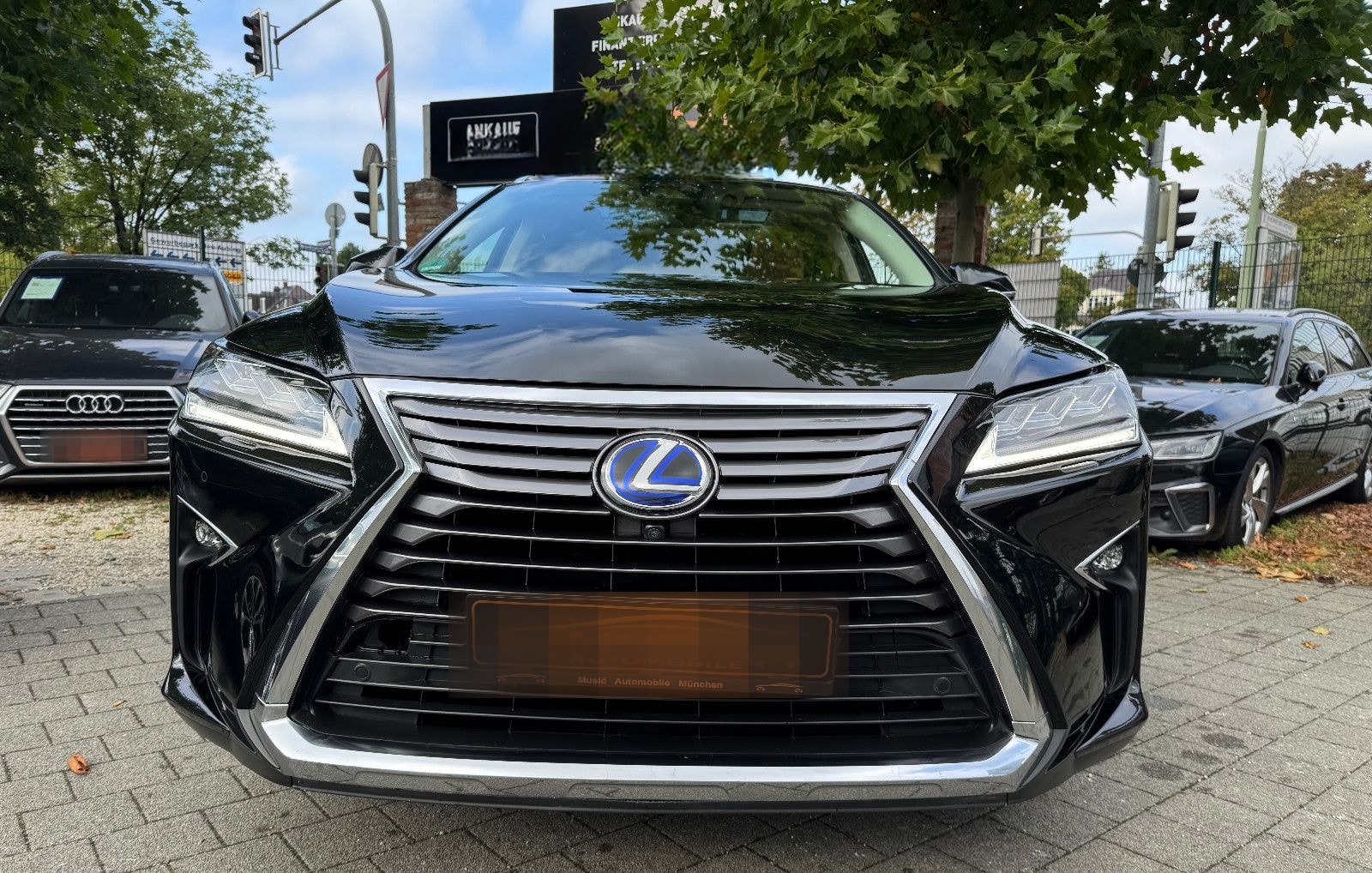 Lexus RX 450/Panorama/Kamera foto 3