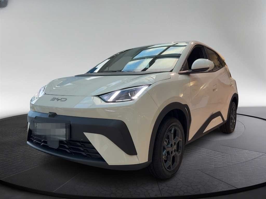 BYD DOLPHIN SURF Boost 2025