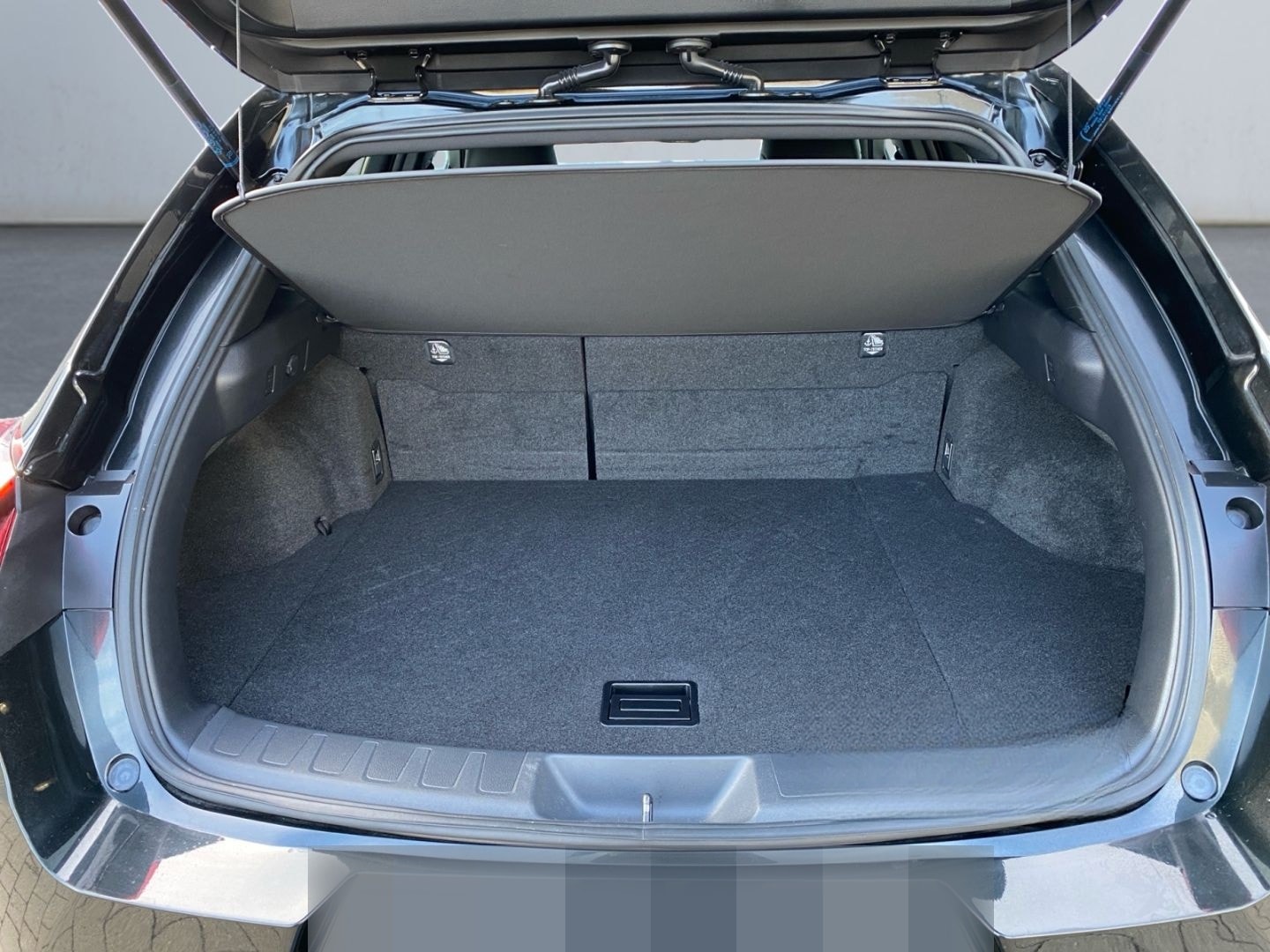 Lexus UX 250h F SPORT Design *Bi-LED*ACC*RCam*SHZ*PDC* foto 15