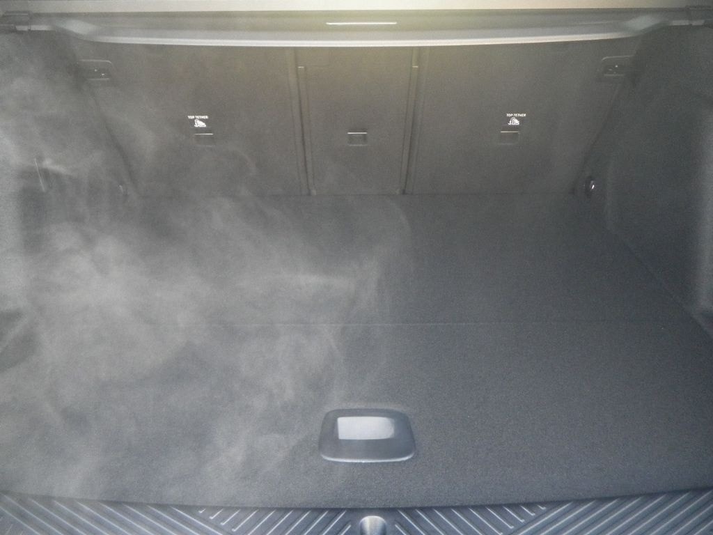 BMW X3 M50 xDrive AD StandHZG AHK-klappbar AHK El. P foto 13