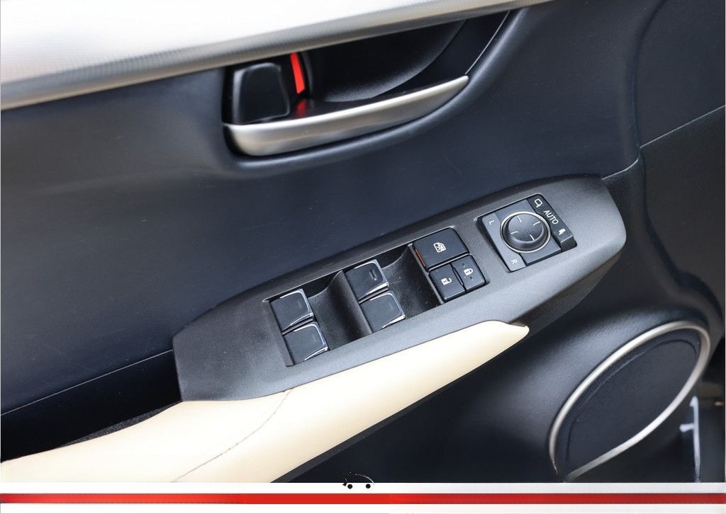 Lexus NX 300 E-Four foto 18