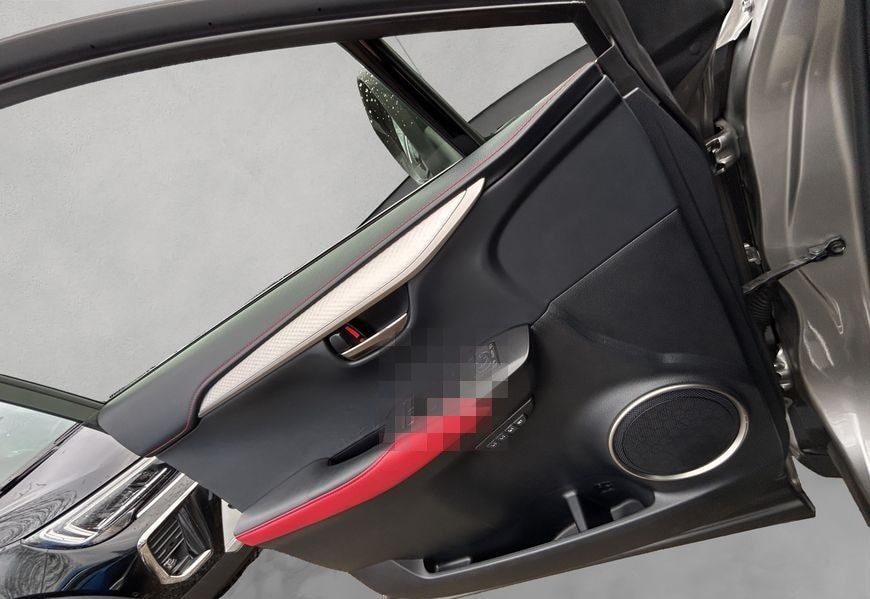 Lexus NX 300h E-FOUR F Sport, Leder, LED, AHK, Allw. foto 17