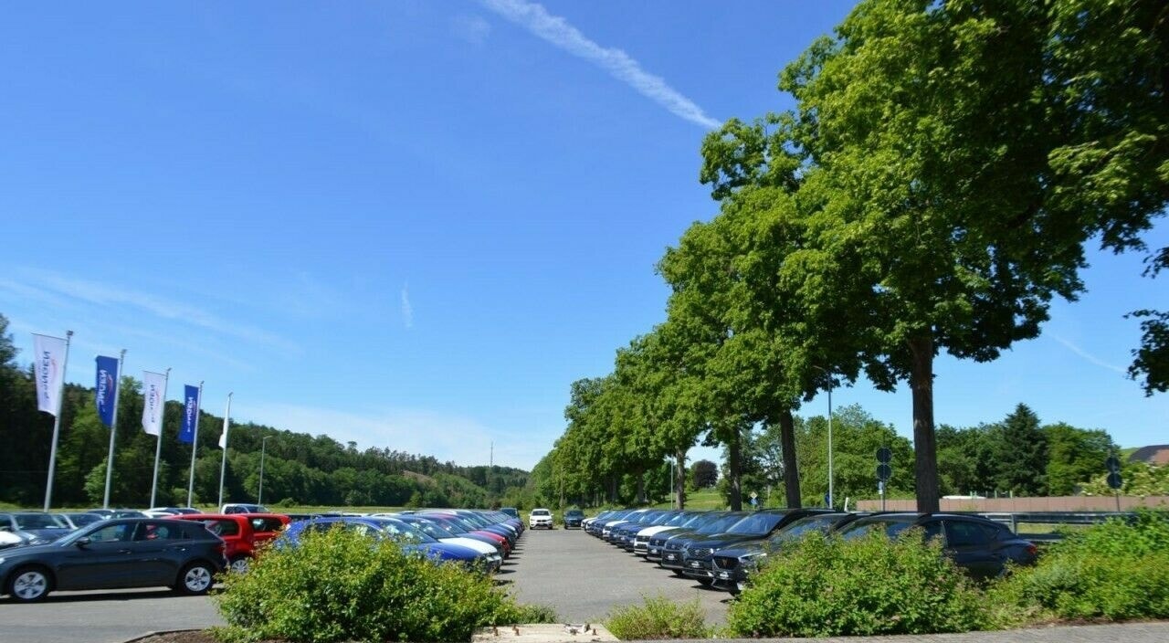 Volkswagen Golf GTI VIII Clubsport DSG Fahrwerk Navi foto 14