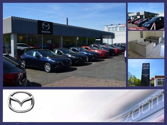 Volkswagen Golf VIII 1.5 TSI Life *Navi*Sitzheizung* foto 18