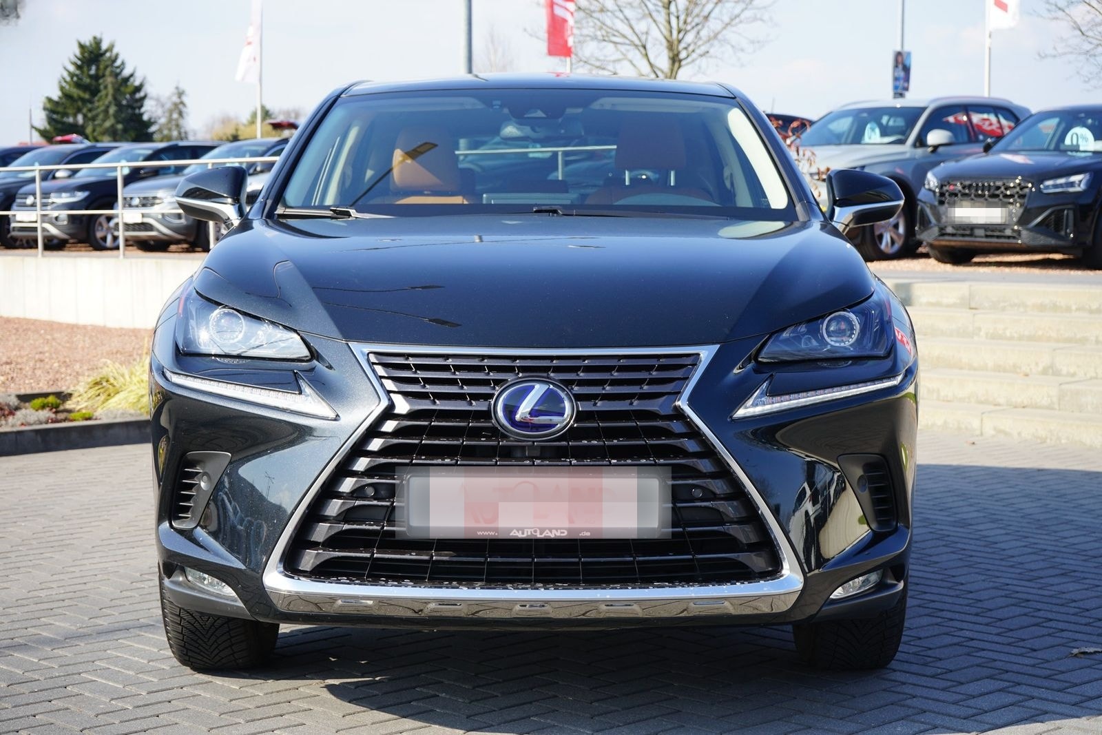 Lexus NX 300h Executive Line (E-Four) LED Navi Kamera foto 3