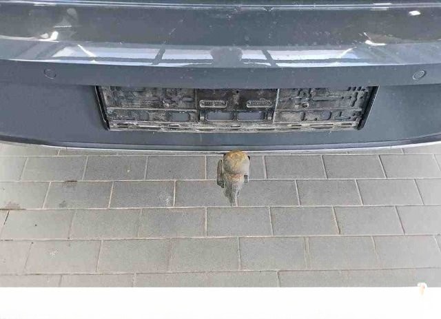 Volkswagen Golf VIII 2.0 TDI ACTIVE DSG Kamera Pano AHK uvm foto 11