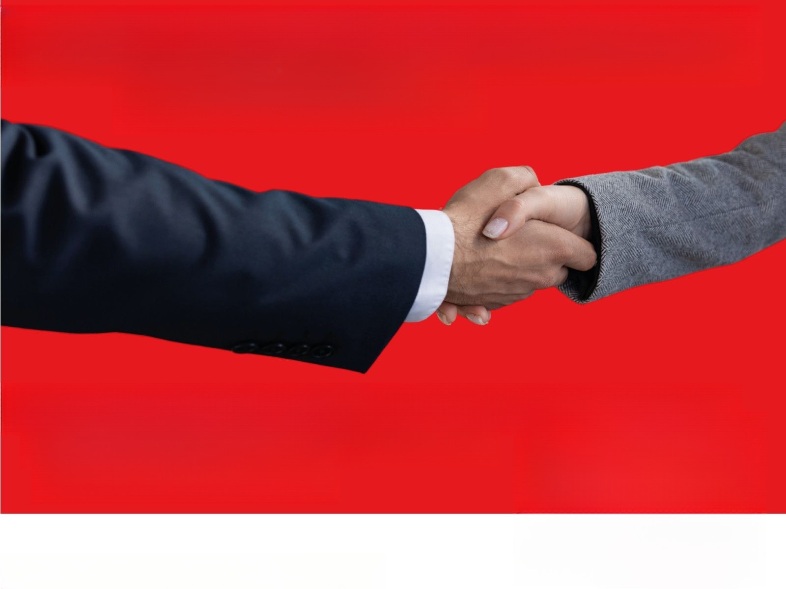 Volkswagen Golf VIII 2.0 TDI ACTIVE DSG Kamera Pano AHK uvm foto 17