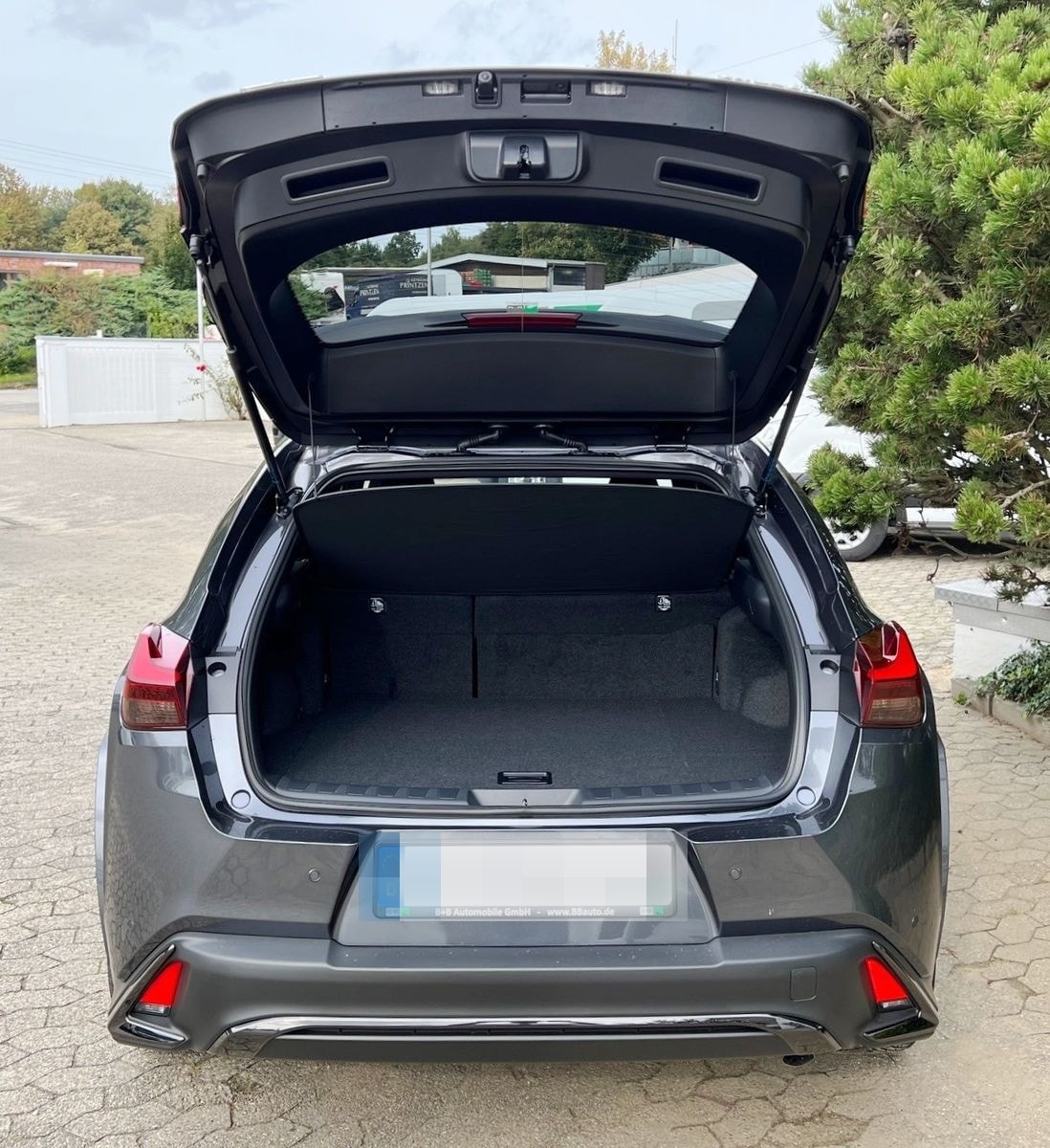 Lexus UX 250H F Sport Leder Kamera SHZ foto 6